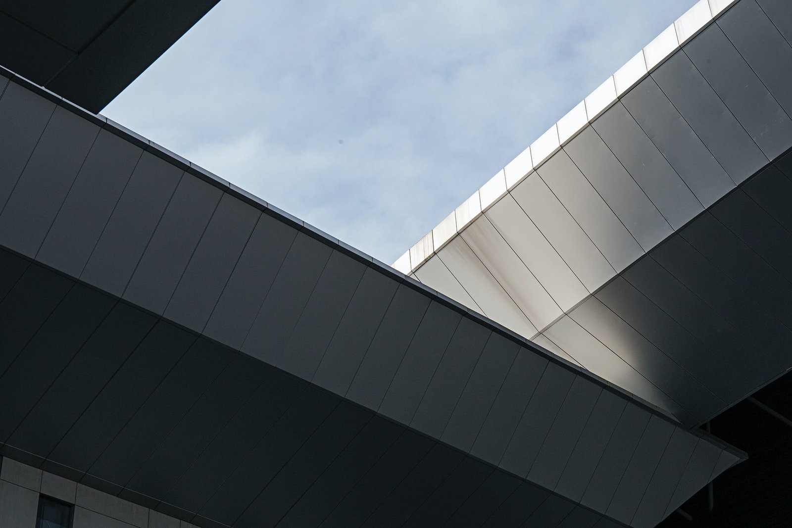 5 1 e1654952749259.jpg